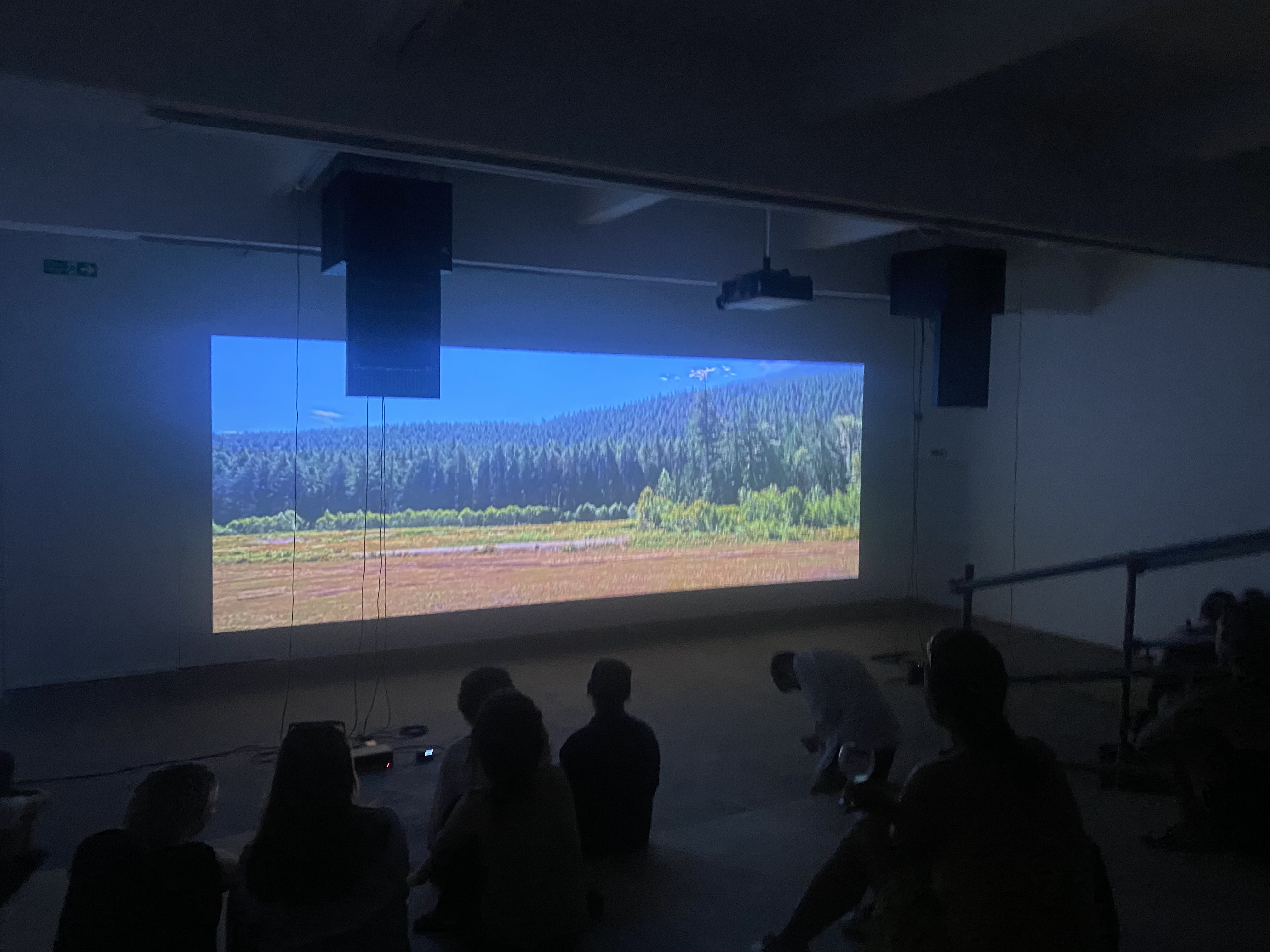 Audience view of the STILL LIFE installation with projected landscape and suspended hardware.